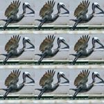 Sharon Hull Dodd - Instagram Profile Picture of Sharon Hull Dodd (@sharondoddphotography) on Instagram