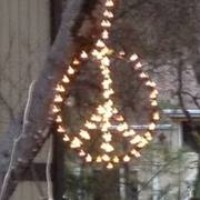 Profile Picture of Lisa Fletcher (@lisa-fletcher-2) on Quora