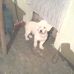 Profile Picture of Miriam Claudio (@miriam.claudio.102) on Facebook