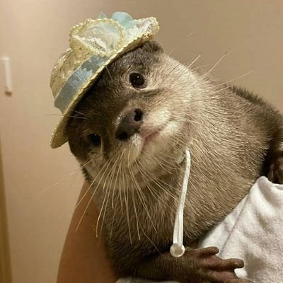 Profile Picture of Andrea Brutto (@andrewbrutto) on Twitter