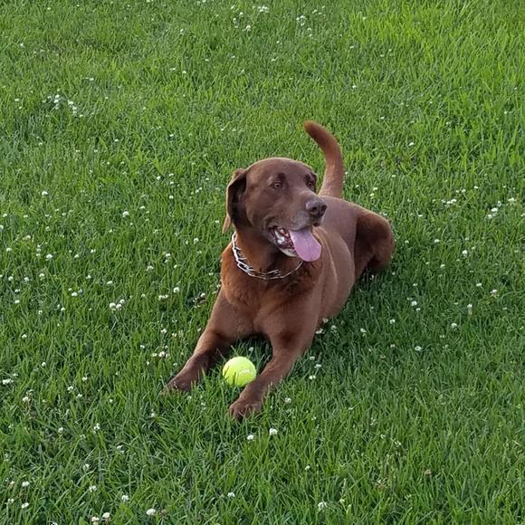 Profile Picture of Ellen Chamblee (@ellenchamble763) on Poshmark