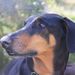 Profile Picture of Thomas Umlauf (@thomasu0364) on Pinterest