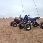 Profile Picture of Dominic Amato (@dominic_amato_tyrone) on Instagram