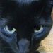 Profile Picture of TreVaughn Ellis (@trevaughnellis) on Pinterest