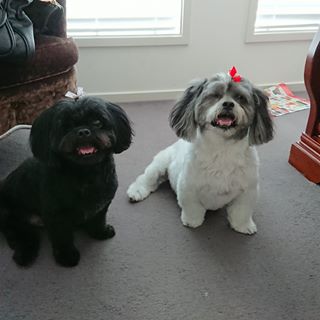 Profile Picture of Janette Cain (@janette.cain.5) on Facebook