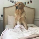 Profile Picture of Vincent Cordoliani (@vincentcordoliani) on Instagram