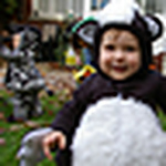 Profile Picture of Steven Martin (@smarty-1) on Flickr