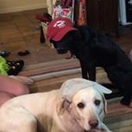 Profile Picture of Martin Woolley (@barlowcracksoneout) on Instagram