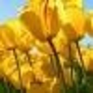 Profile Picture of Ericka Muñoz (@116955406) on Myspace