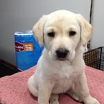 Michael Haukos - Instagram Profile Picture of Michael Haukos (@michaelhaukos) on Instagram