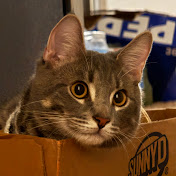 Profile Picture of Alex Truong (@windmilk1361) on Youtube