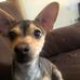Profile Picture of Anselmo Jiménez (@anselmo.jimenez.5667) on Facebook