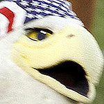 Profile Picture of turtlehawk (@turtlehawk) on Flickr