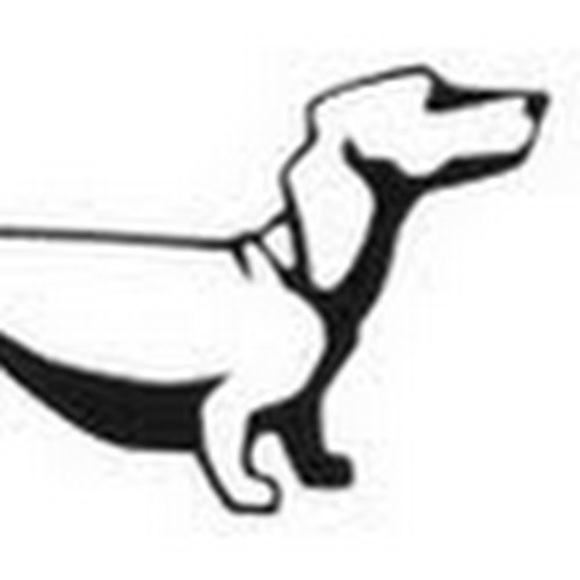 Profile Picture of Ariana Dilibero (@aschopp) on Poshmark