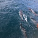 Profile Picture of Mark Zdunek (@markzdunek) on Instagram