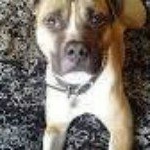 Randall S. King - Instagram Profile Picture of Randall S. King (@plank_player) on Instagram