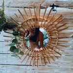 Profile Picture of Clara Rousselot (@rousselot_clara) on Instagram