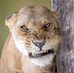 Profile Picture of Miguel Cano Fuentes (@miguel.canofuentes.35) on Facebook