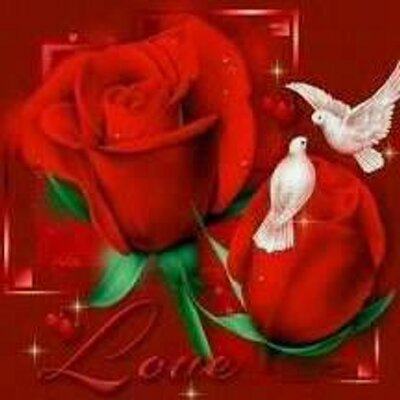 Profile Picture of Tash MT (@KimPflughaupt) on Twitter