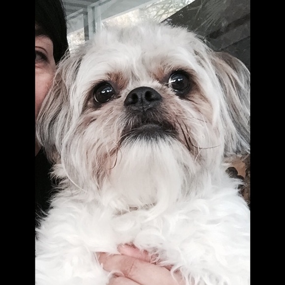 Profile Picture of Maria Fargas (@maxmel) on Poshmark