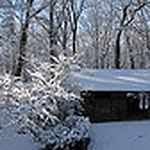 Profile Picture of tekrhino (@tekrhino) on Flickr