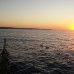 Giannis James Ioannou - Instagram Profile Picture of Giannis James Ioannou (@giannisjames) on Instagram