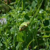 Profile Picture of Mark Cruise (@markcruise4295) on Youtube