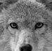 Profile Picture of Craig Kaminski (@craig.kaminski.35) on Facebook