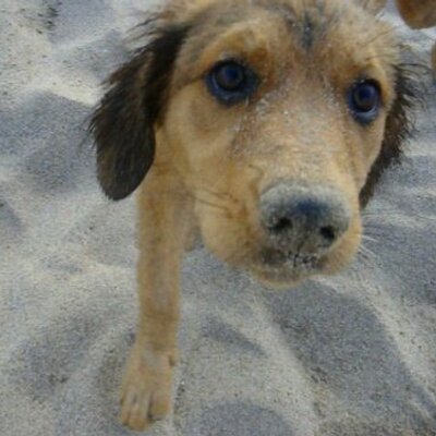 Profile Picture of Maria Jose Gordon V (@gordon_mari) on Twitter