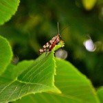 Profile Picture of Anderton (@martinhoe3f) on Instagram