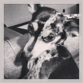 Profile Picture of Josie Herbert (@heyitsmee87) on Pinterest