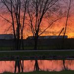 Profile Picture of Ryan Fluke (@joniduff) on Instagram