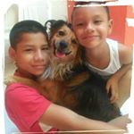 Profile Picture of Julian Perdomo (@julian.perdomo.311) on Instagram