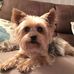Profile Picture of David Atchison (@david.atchison.71) on Facebook