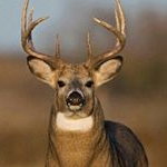 Profile Picture of jacob roney (@jroney06) on Instagram