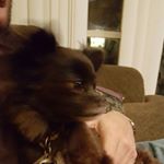 Profile Picture of jesse corley (@jessecorley302) on Instagram