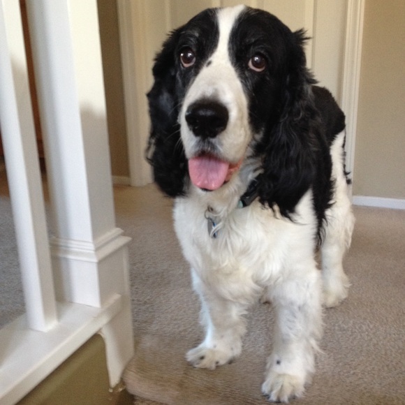 Lauri Grenner - Poshmark Profile Picture of Lauri Grenner (@insurancepro) on Poshmark