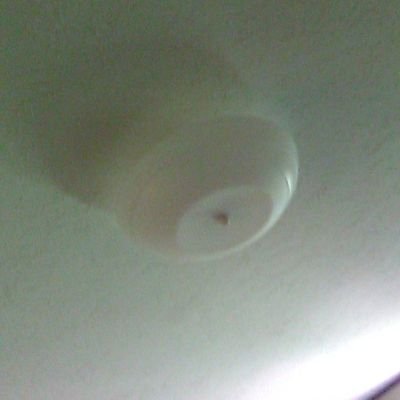 Brian Sessums - Twitter Profile Picture of Brian Sessums (@BrianSessums2) on Twitter