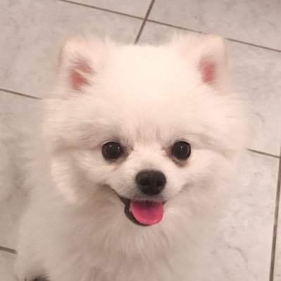 Profile Picture of Thomas Byun (@byunkiuhyun) on Twitter
