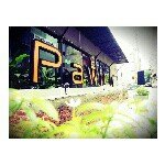 Profile Picture of Pawich (@pawich_coffee) on Instagram