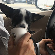 Profile Picture of Kit Martin (@kitmartin1580) on Youtube