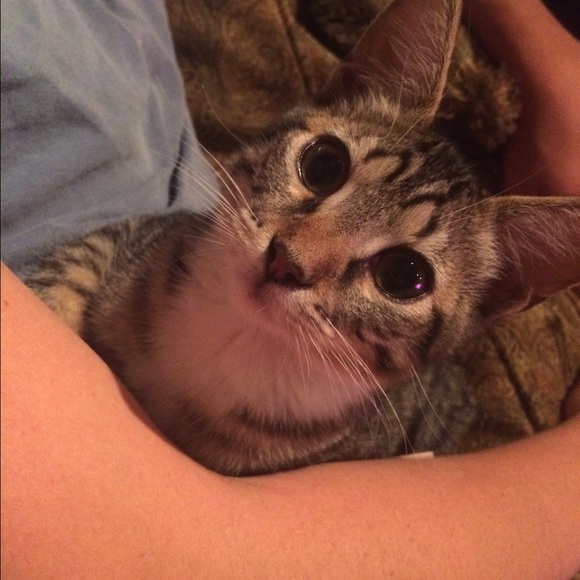 Summer Scott - Poshmark Profile Picture of Summer Scott (@__sumrae) on Poshmark