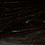 Profile Picture of Fanpalm99 (@fanpalm99) on Flickr