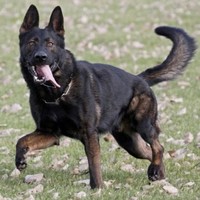 Jacob Stewart - Quora Profile Picture of Jacob Stewart (@jacob-stewart-18) on Quora