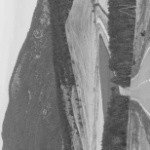 Profile Picture of Keith (@januskeithleyli5) on Instagram