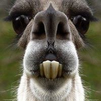 Profile Picture of Jonathan Byers (@jonathan-byers-2) on Quora