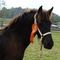 Profile Picture of Nan Kennedy (@nan.kennedy.77) on Facebook