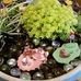Profile Picture of Beverly Koeppen (@Beverly-Koeppen) on Facebook
