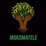 Profile Picture of @mokomatele (@mokomatele) on Instagram