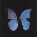 Profile Picture of Crystal Goree (@crystal.goree.773) on Facebook